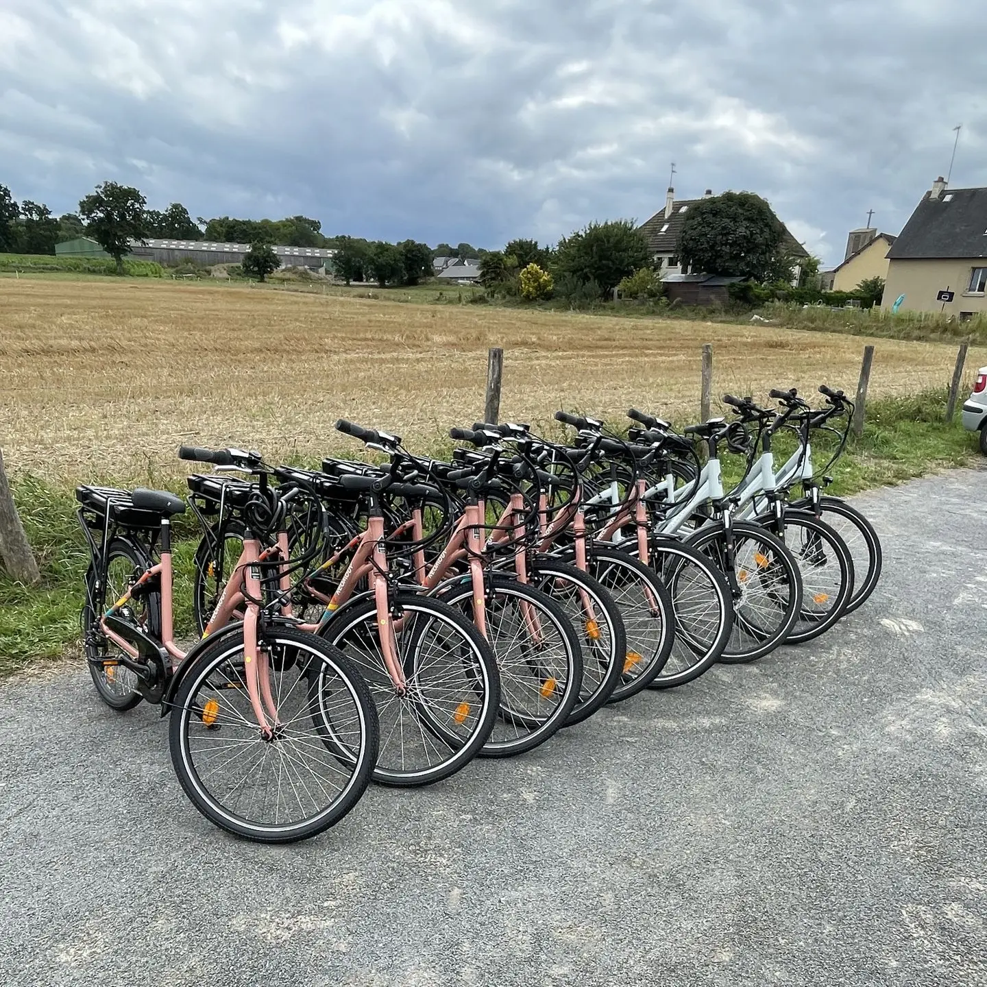 Séminaire à vélo Découvrir la baie du mont sain-Michel en groupe