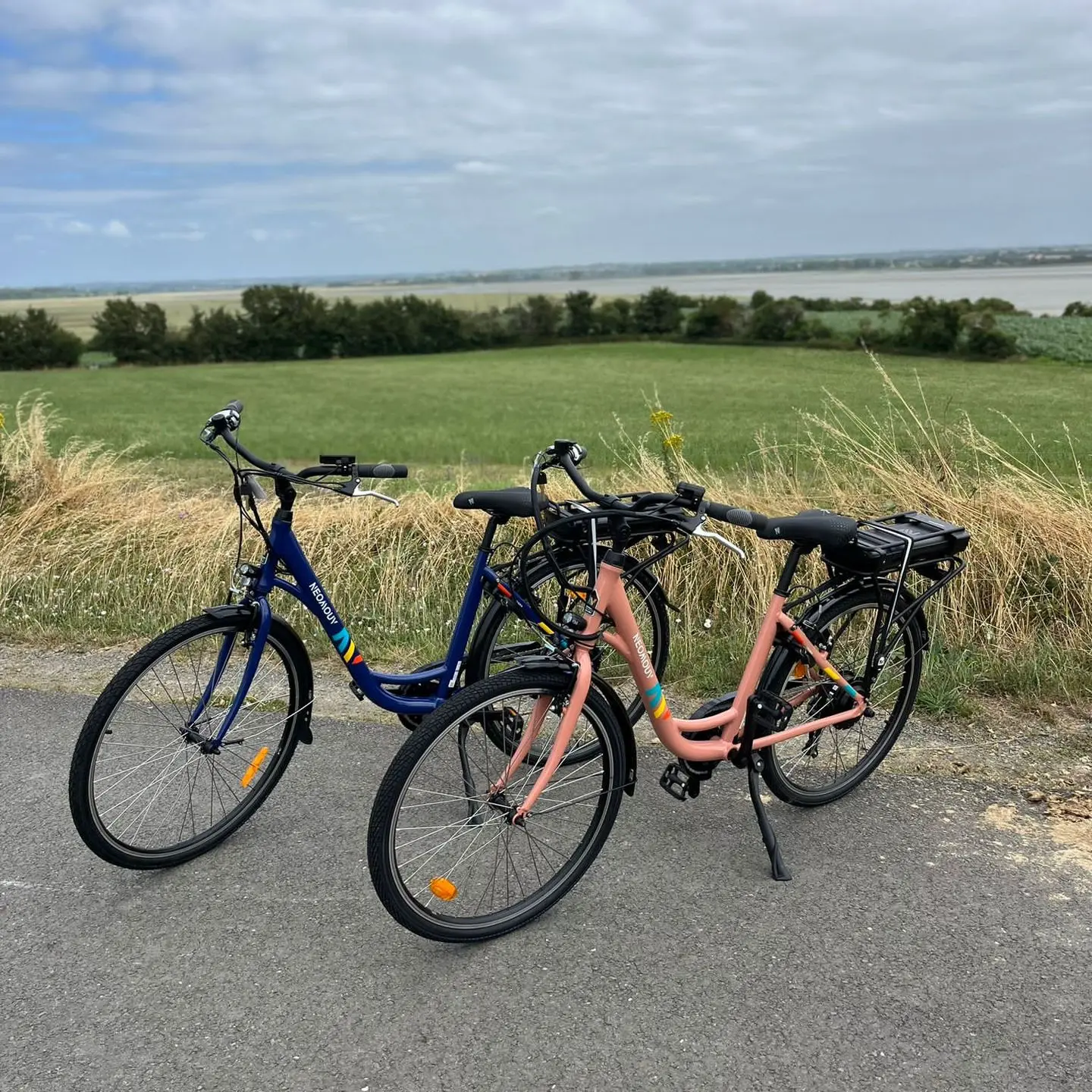 vélo occasion Avranches